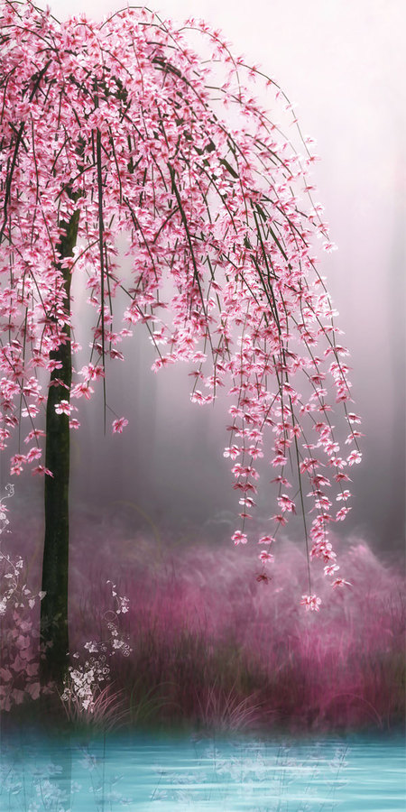 粉色花树玄关